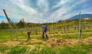 cantina-val-san-martino-il-casoncello-bergamasco-03