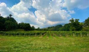 cantina-val-san-martino-il-casoncello-bergamasco-04