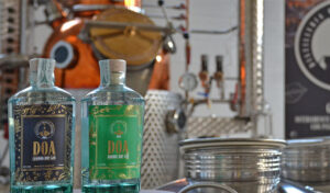 Apericena con vodka tonic e gin tonic